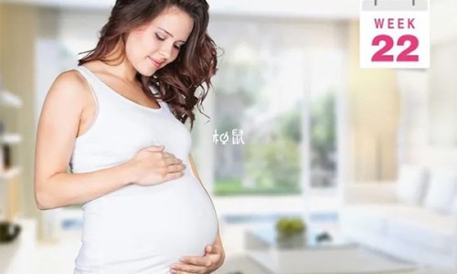 颠婆子-颠盆子功效网 | 颠茄的功效与主治,颠婆子是什么方言