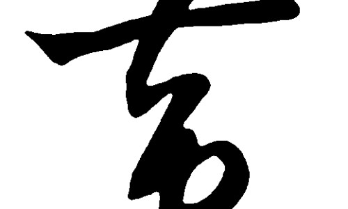 颠盆子功效网 | 颠茄的功效与主治,颠婆子是什么方言