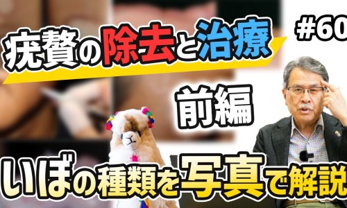 颠茄的功效与作用-颠盆子功效网 | 颠茄的功效与主治,颠婆子是什么方言